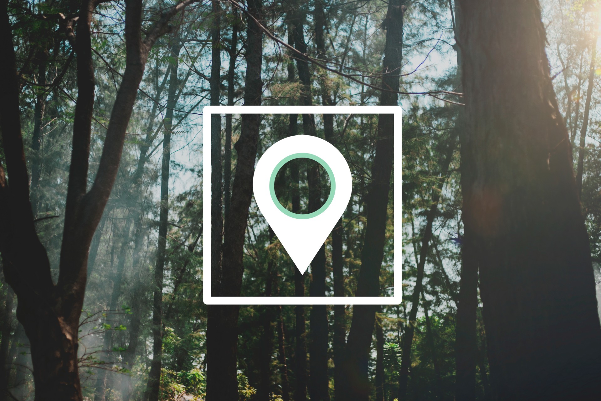 Gerçek Zamanlı Konum Takip